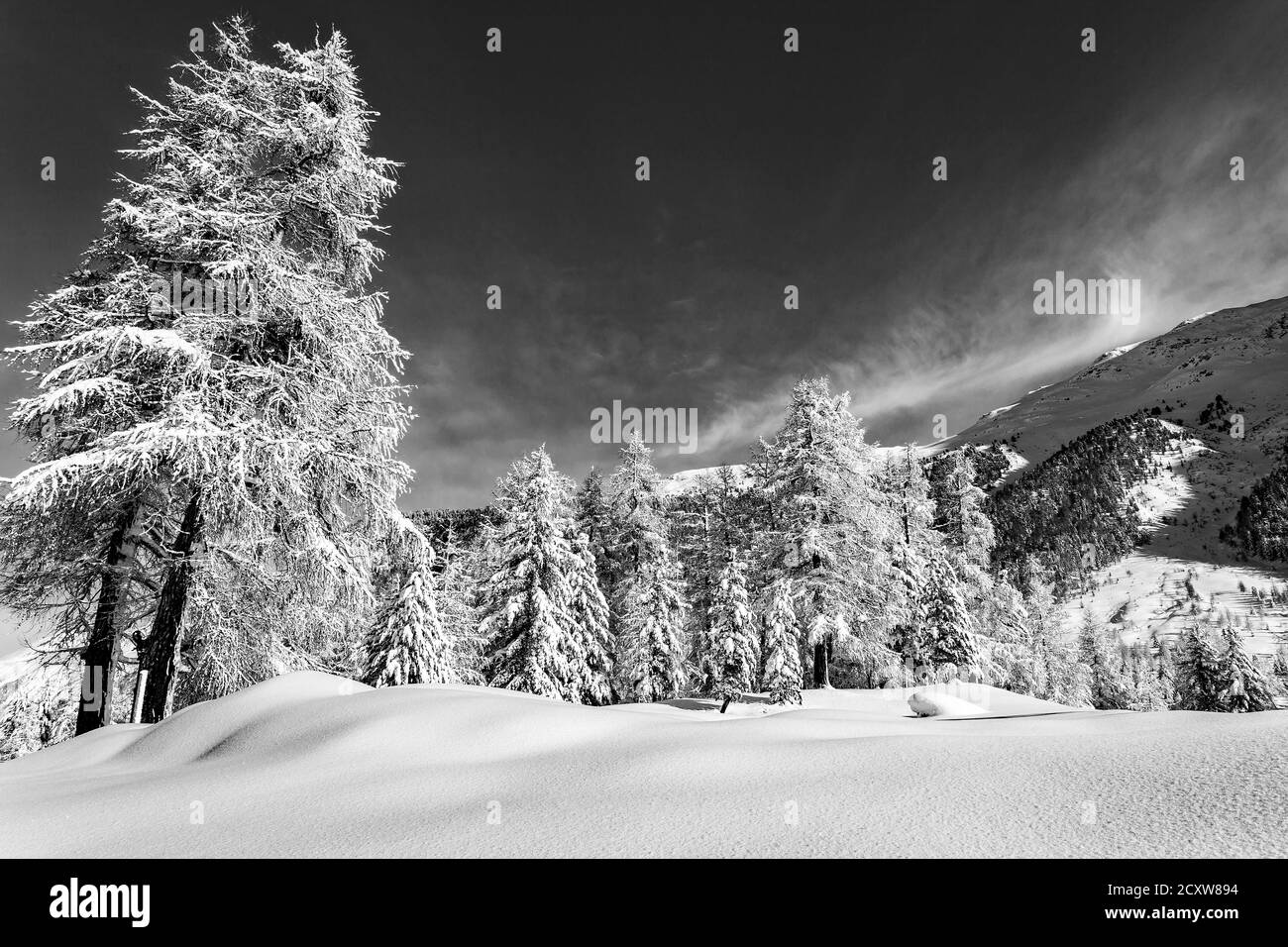 Alpine Landschaft mit Neuschnee - s/w Stockfoto