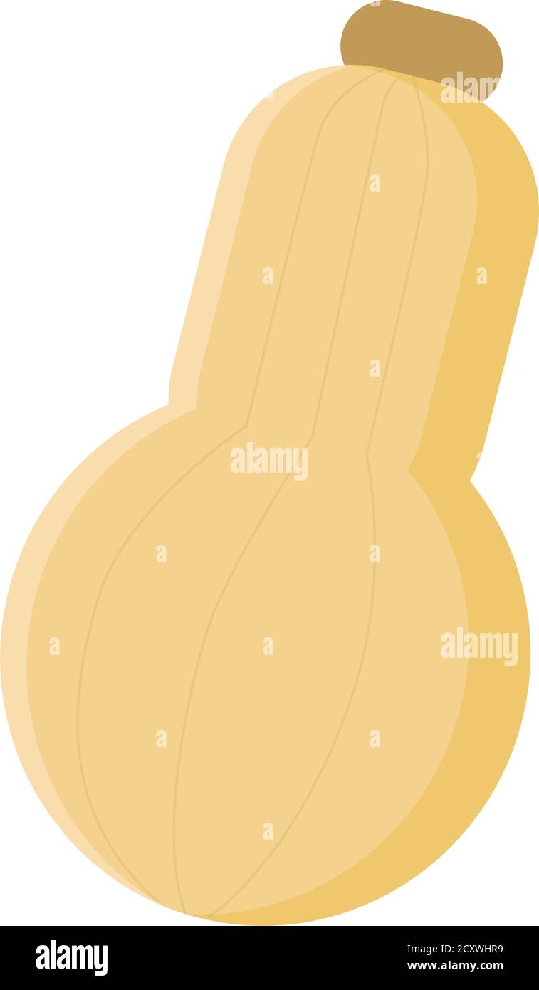 Hellorange Butternut Squash Vektor Illustration. Gemüse Grafik Symbol Stock Vektor
