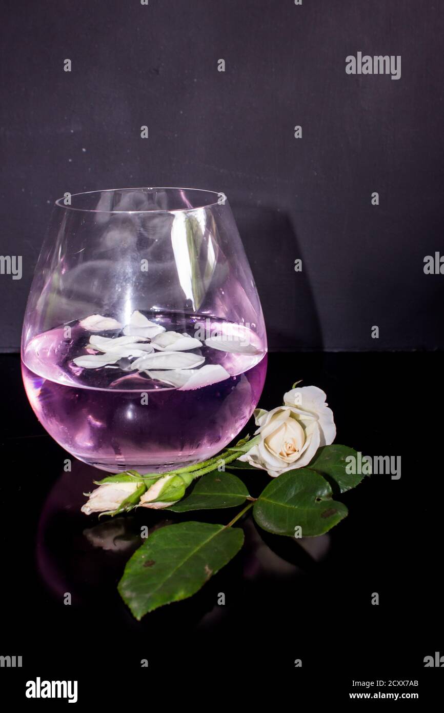 Ein Glas mit Rosengeschmack, Pink, Gin und Tonic, garniert mit weißen Rosenblättern, auf schwarzem Hintergrund Stockfoto