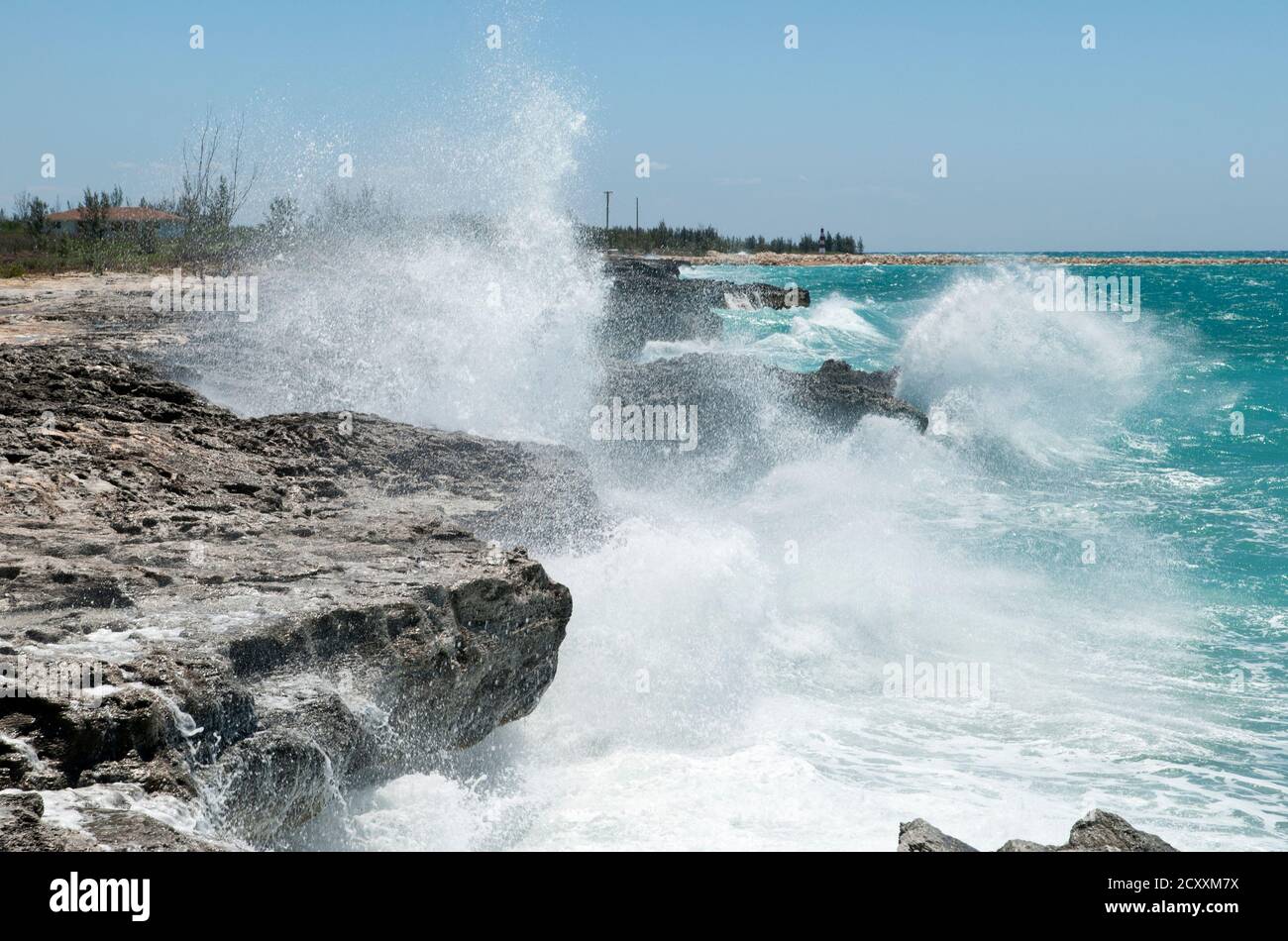 Große Wellen treffen erodierte Küste der Grand Bahama Insel (Bahamas). Stockfoto