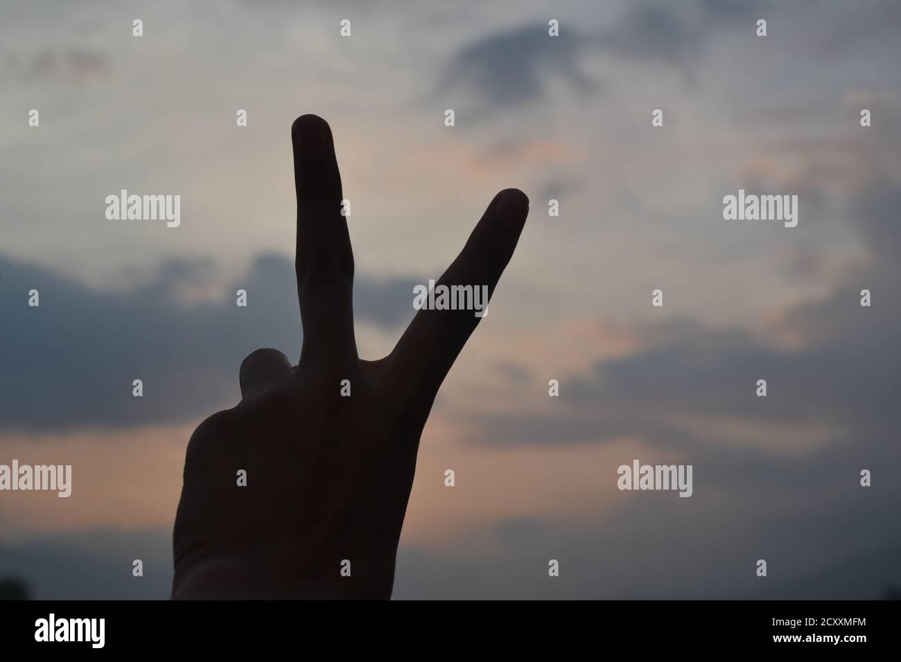 Verschiedene Handgesten. Menschliche Hände mit verschiedenen Gegenständen, die sie pflegen und tragen. Stockfoto