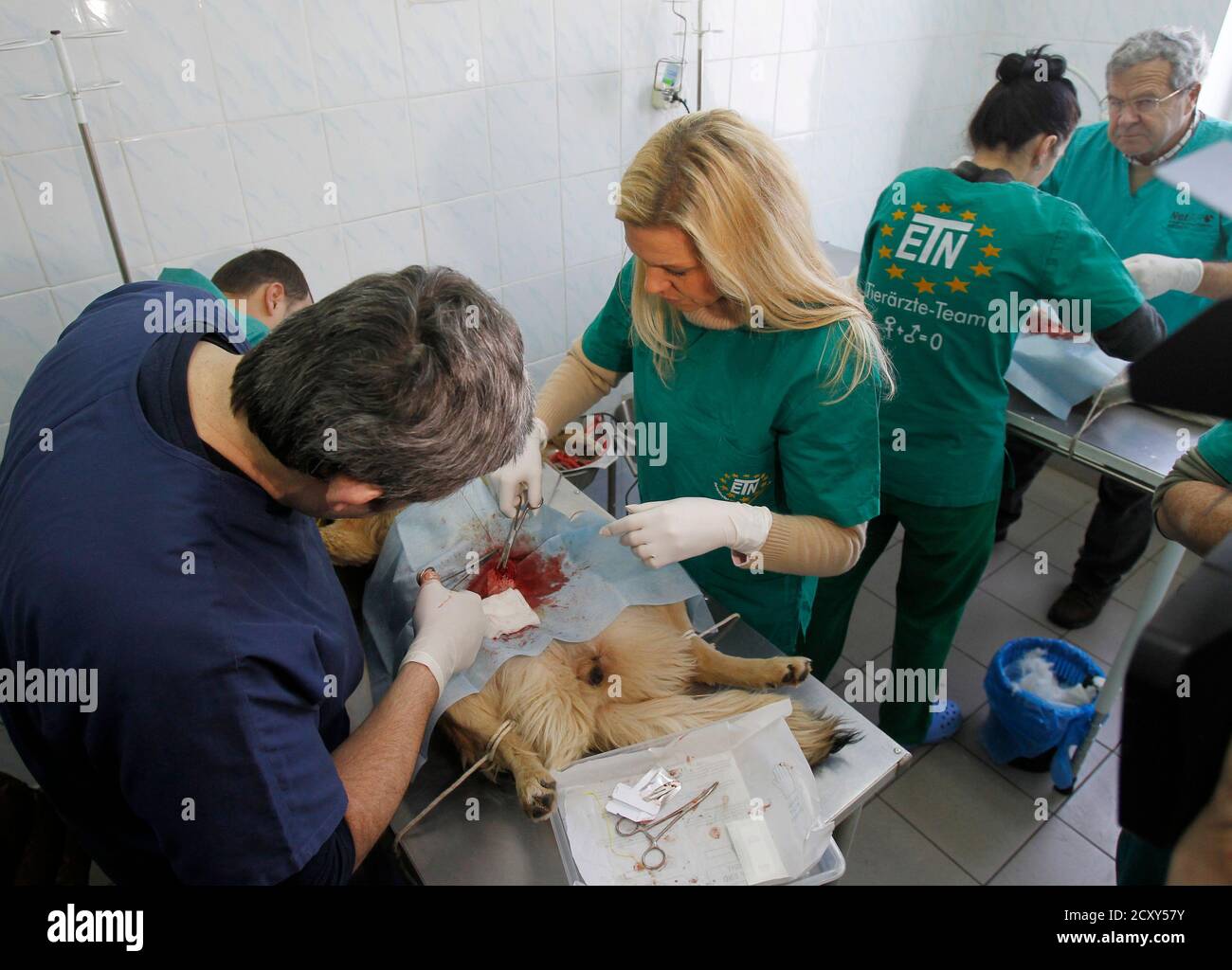 Von hohenzollern -Fotos und -Bildmaterial in hoher Auflösung - Seite 3 ...