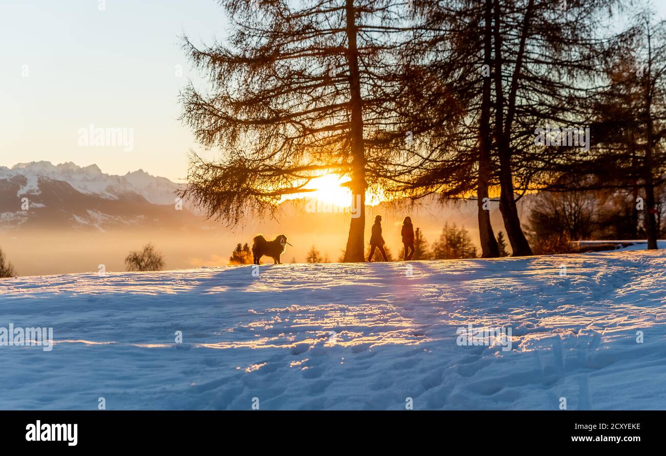 Sonnenuntergang im Winter. Landschaft aus Schnee, Nebel und Bäumen mit Kopierraum. Zwei Personen Silhouette zu Fuß mit einem Hund. Ruhige Szene. Stockfoto