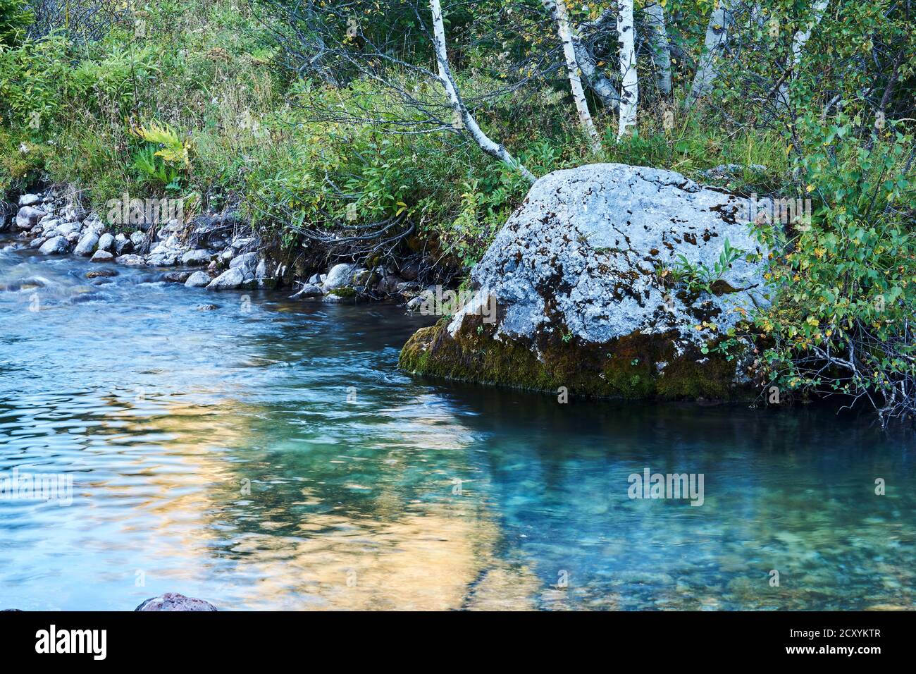 Bach-Pool auf einem kleinen Bergfluss mit einem schönen Rock mit Birken am Ufer Stockfoto