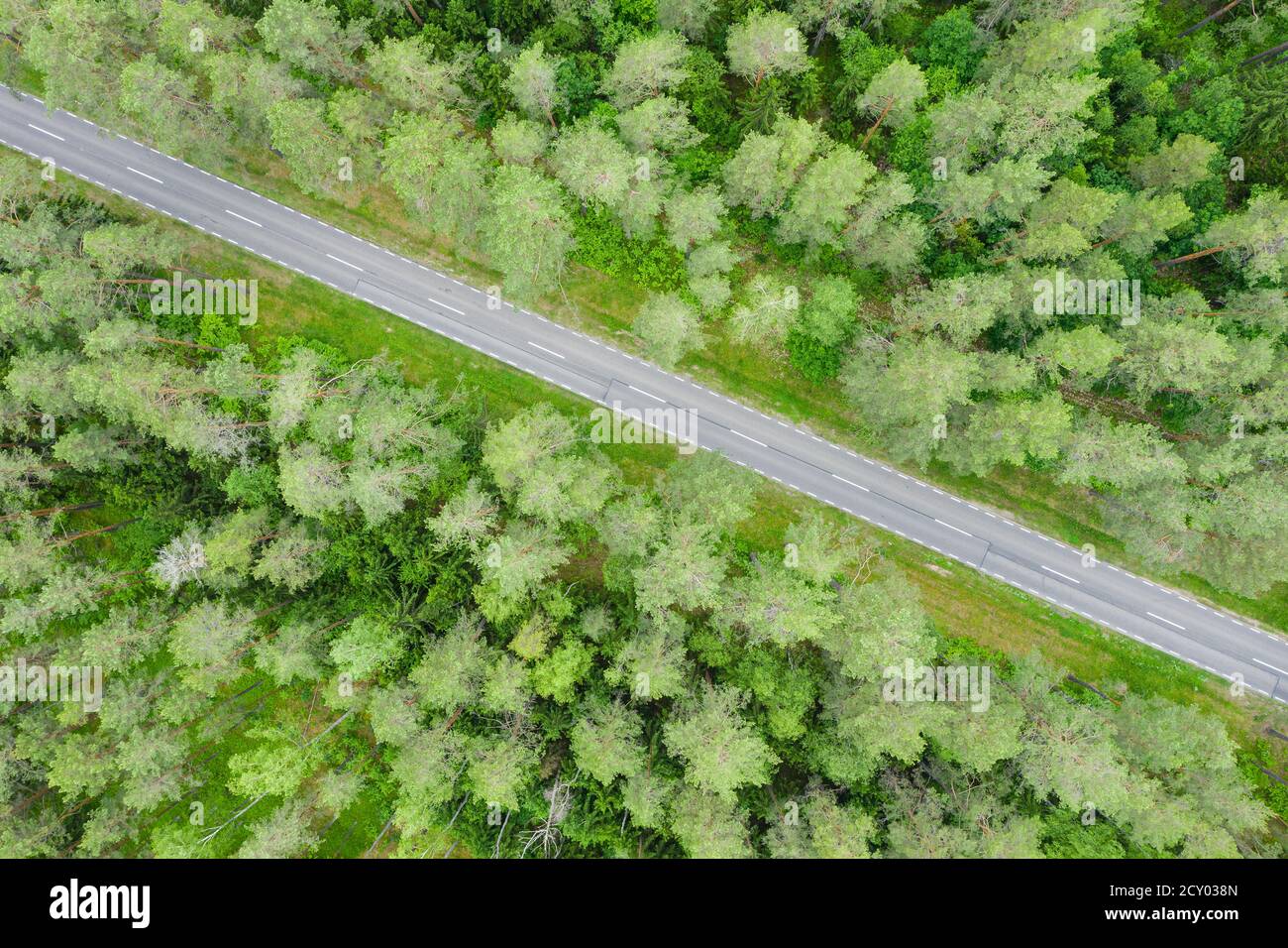 Leere Straße geht diagonal durch den Wald oben nach unten Antenne Anzeigen Stockfoto