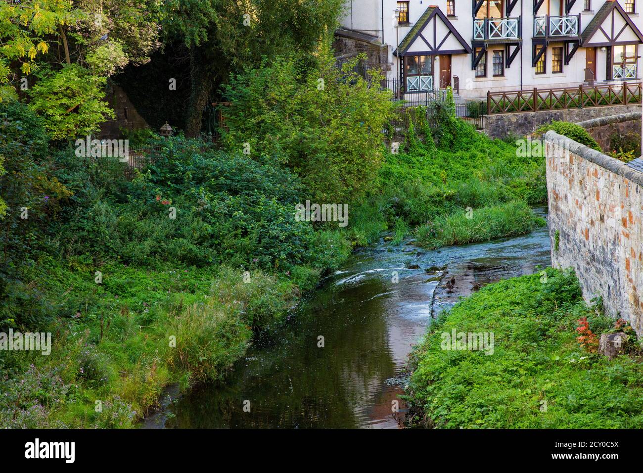 Bach mit Vegetation und Bäumen und Haus im Hintergrund Stockfoto