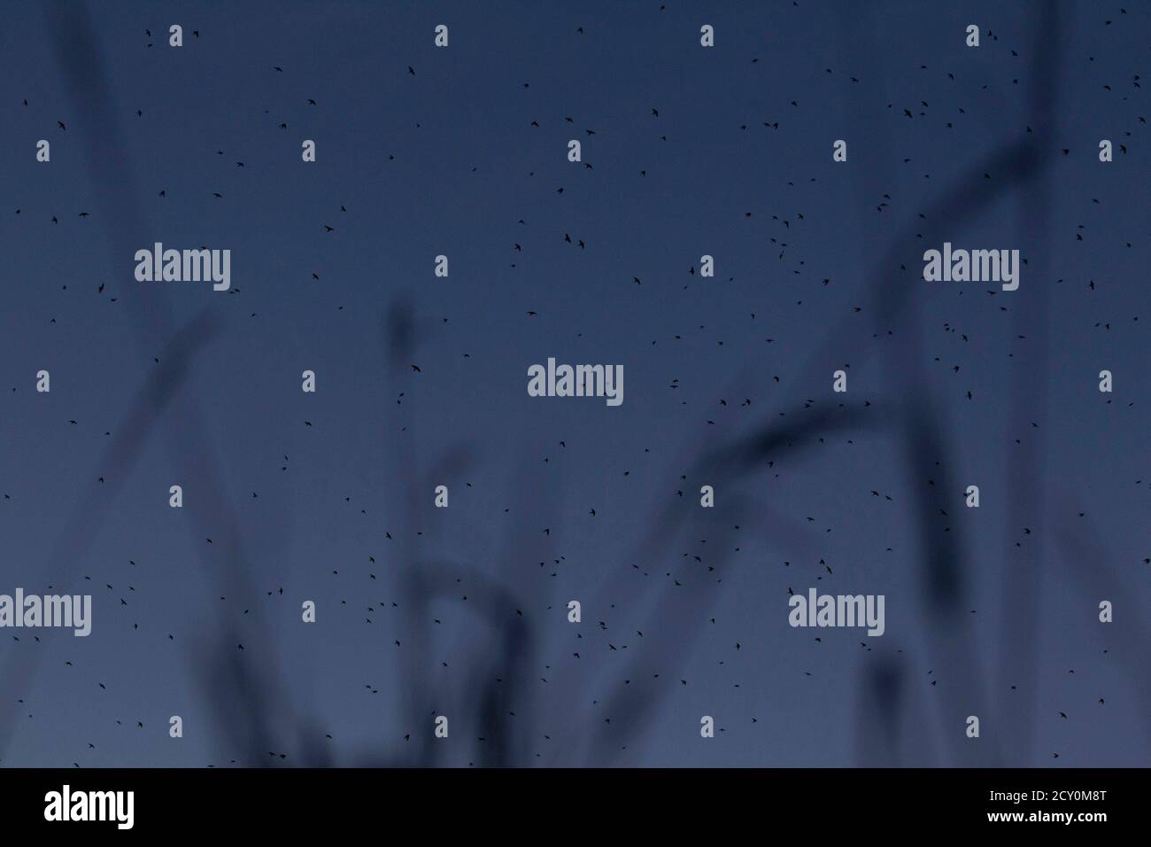 11 Af Stockfotos Und Bilder Kaufen Alamy