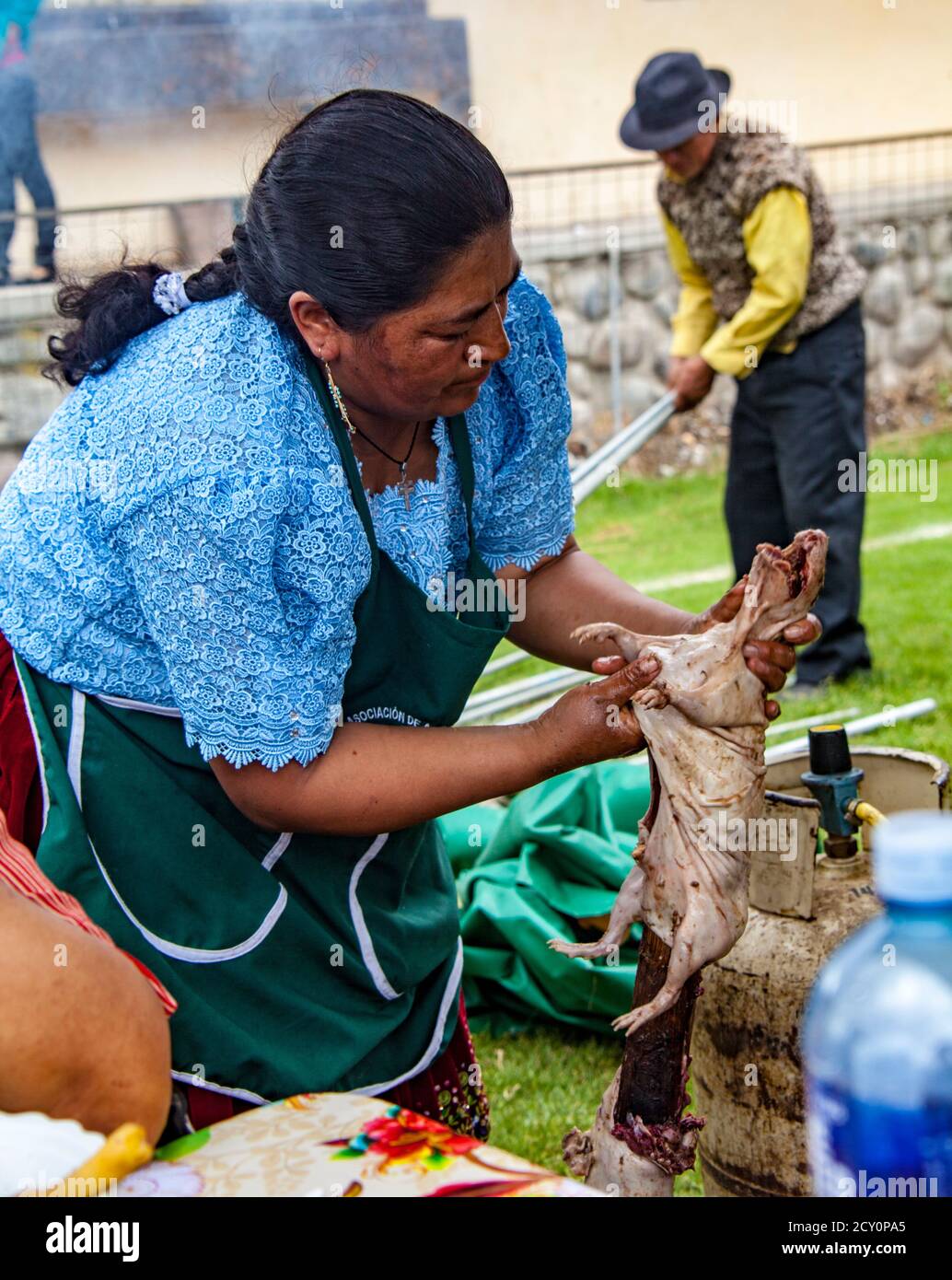 Tarqui, Ecuador - Oktober 4, 2015 - Frau bereitet ein Cuy (Meerschweinchen für den Grill an einer im Festival Stockfoto