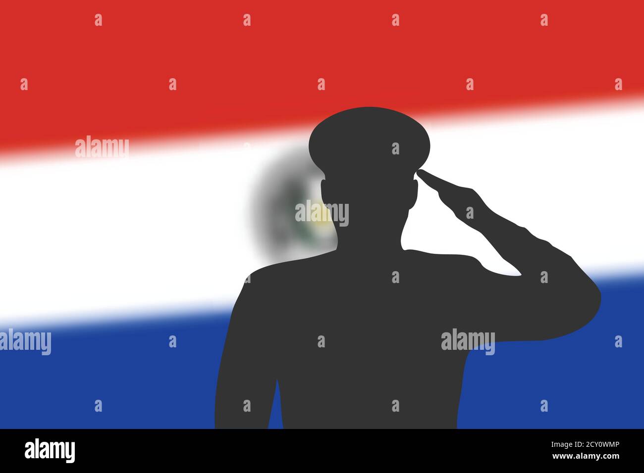 Löt Silhouette auf verwackelte Hintergrund mit Paraguay Flagge. Stock Vektor