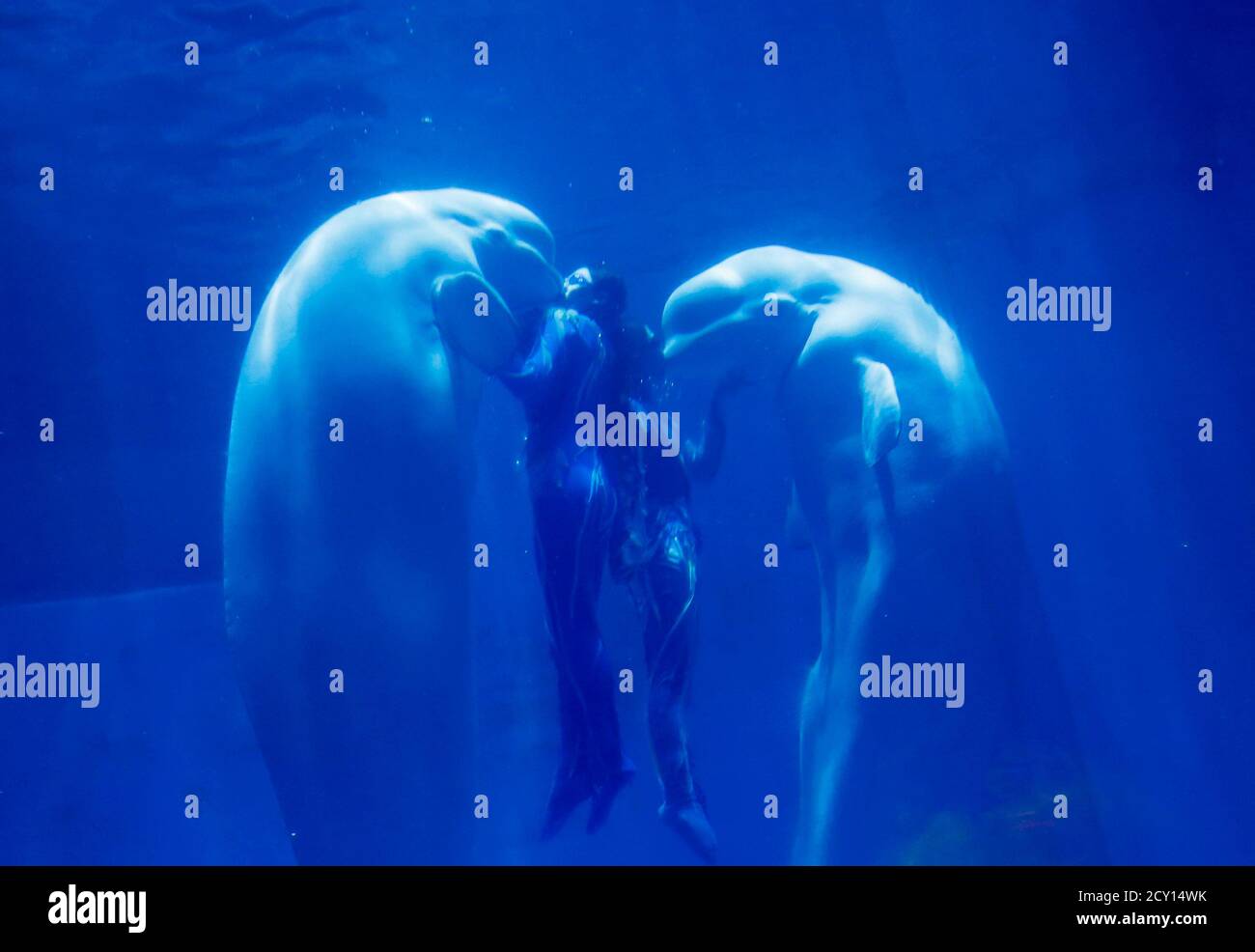 Harbin Polar Land Heilongjiang China Stockfotos Und Bilder Kaufen Alamy
