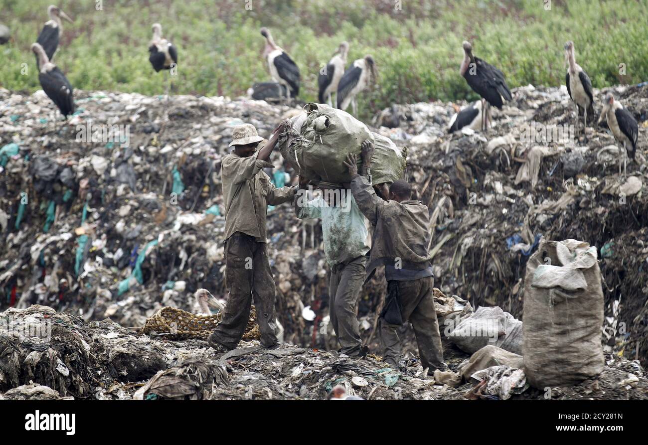 Am Dandora-Ablagesand in den Außenbezirken der kenianischen Hauptstadt Nairobi transportieren die Plünderer recycelbare Materialien. 5. Juni 2015. Die Mülldeponie wurde 2001 zur Gesundheitsgefährdung für die Nachbarbevölkerung erklärt, aber Chemie-, Krankenhaus-, Industrie-, Agrar- und Hausmüll werden hier noch deponiert und unbearbeitet zurückgelassen. Am Freitag findet der jährliche Weltumwelttag statt. REUTERS/Thomas Mukoya TPX-BILDER DES TAGES Stockfoto