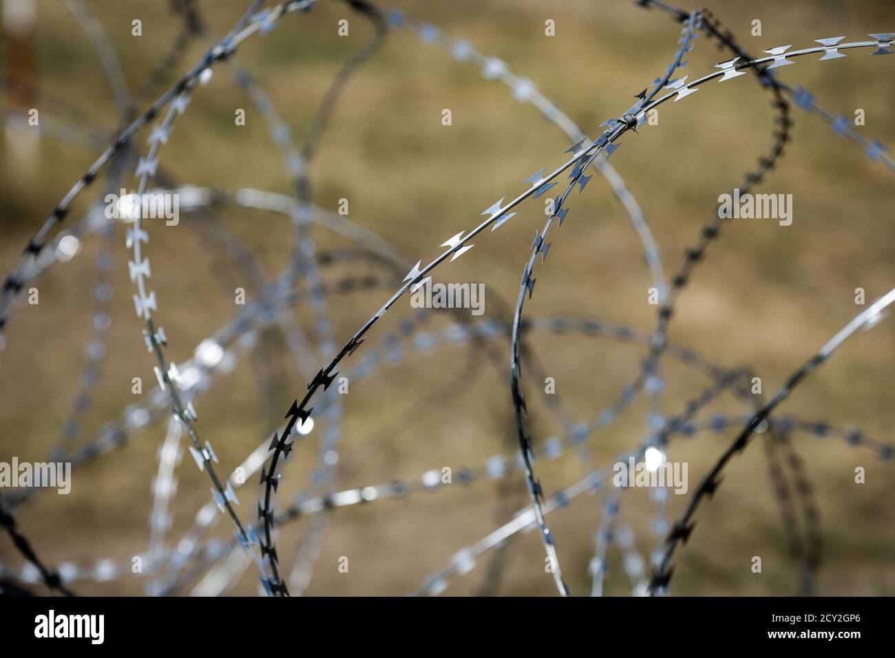 Geringe Schärfentiefe (selektiver Fokus), Messdraht. Stockfoto