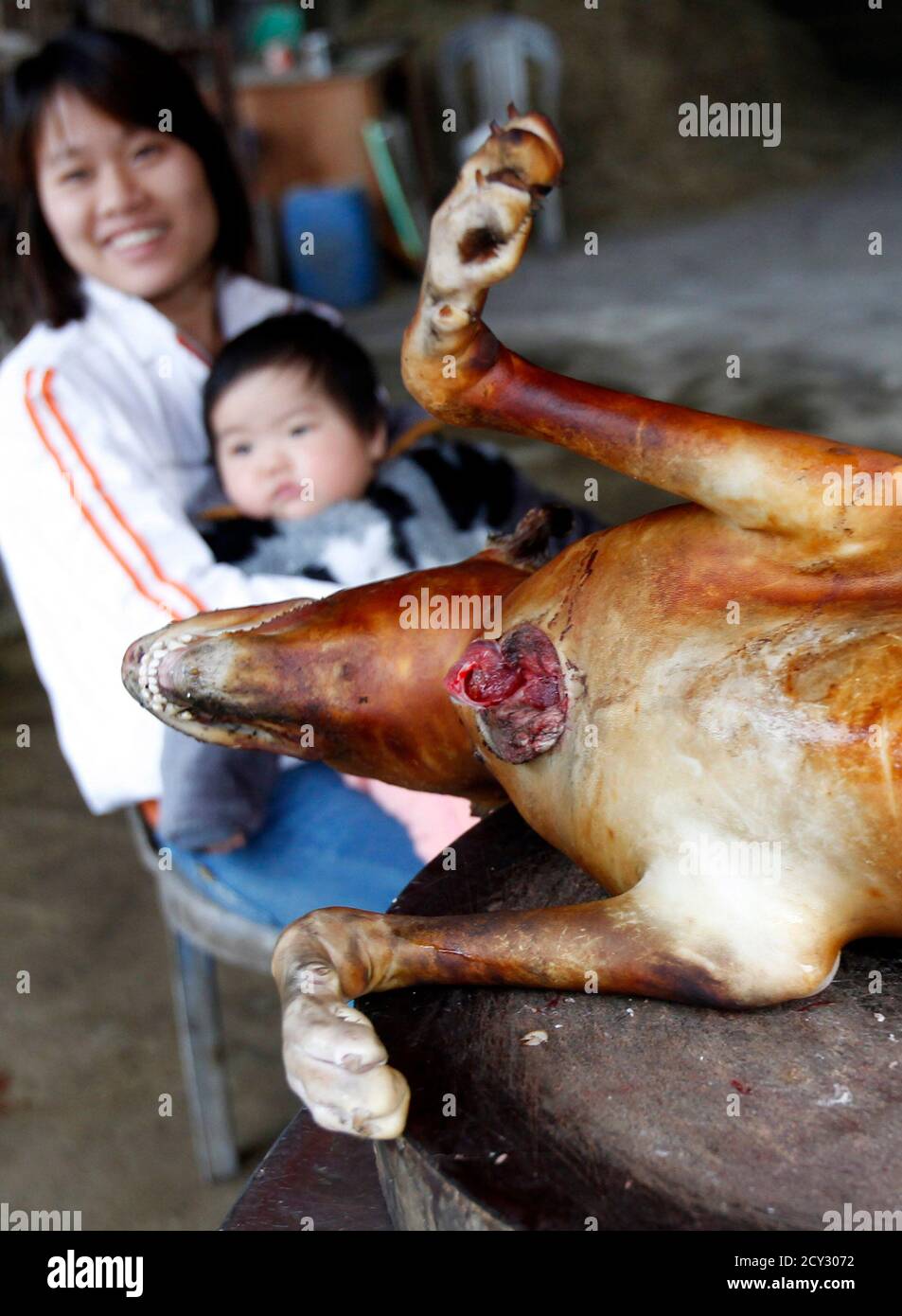 Ein geschlachteter Hund wird angezeigt für den Verkauf an einen am  Straßenrand stand in Duong Noi Dorf außerhalb von Hanoi 16. Dezember 2011  gesehen. Während Tierschützer Hundefleisch als grausame Behandlung der Tiere