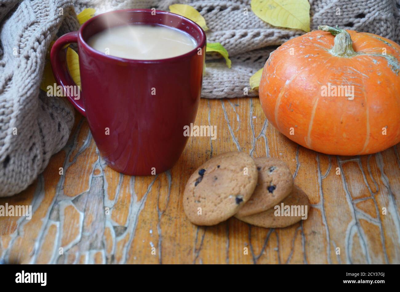 Pumpkin Spice Latte. Tasse Latte mit saisonalen Herbst Gewürze, Kekse und Fall Dekor. Traditionelle Kaffee Trinken für die Herbstferien. Stockfoto