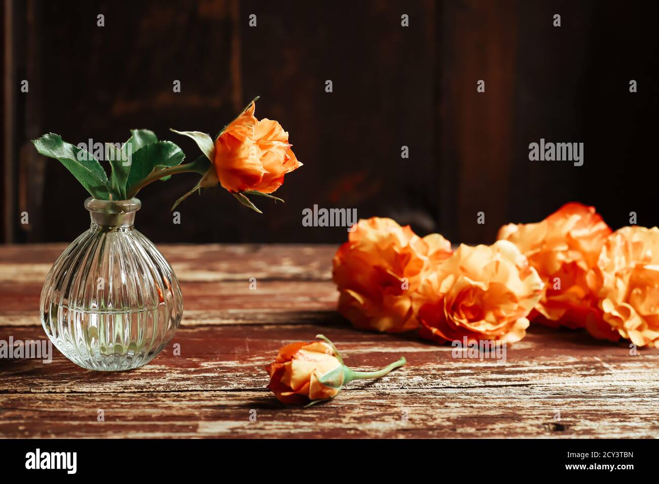 Eine schöne orange Rose auf dem alten Holztisch Der dunkle Hintergrund mit Kopierbereich Stockfoto