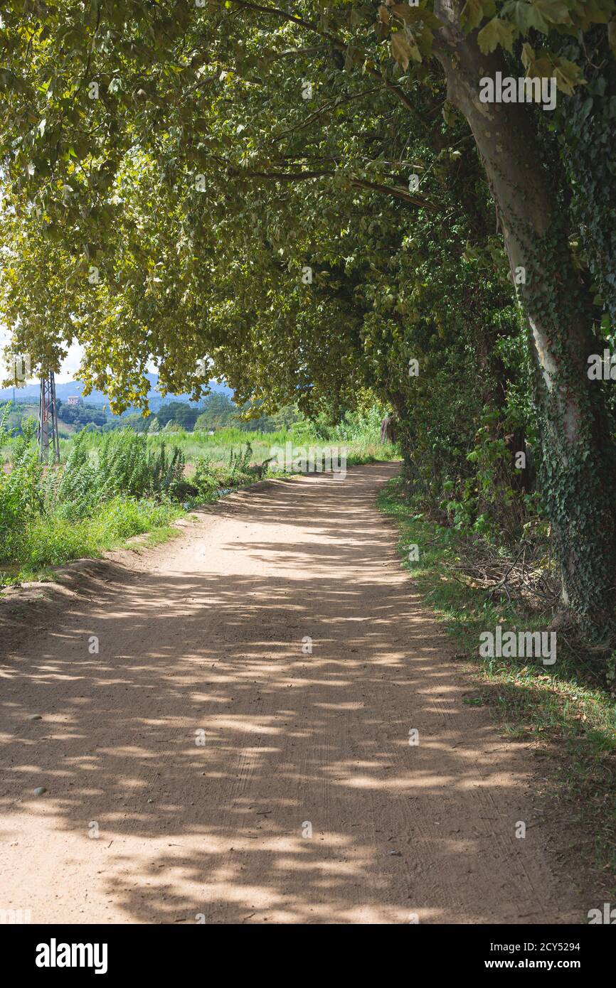 Kiessandweg auf einer grünen Waldlandschaft Stockfoto