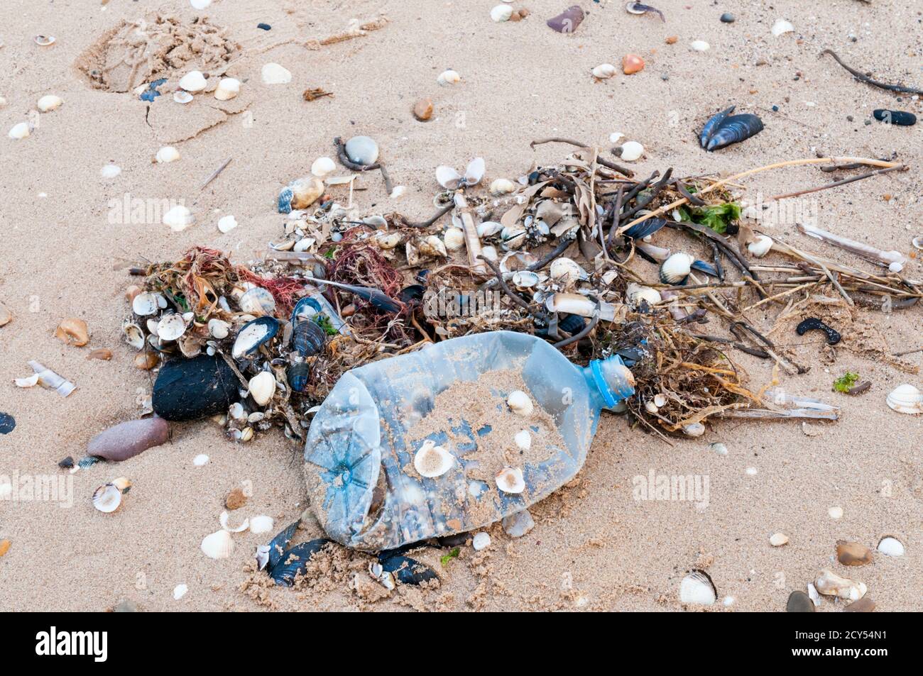 Plastiktrinkflasche, die auf der Hochwassertideline am Ufer der Wash, Norfolk, aufgespült wird. Stockfoto