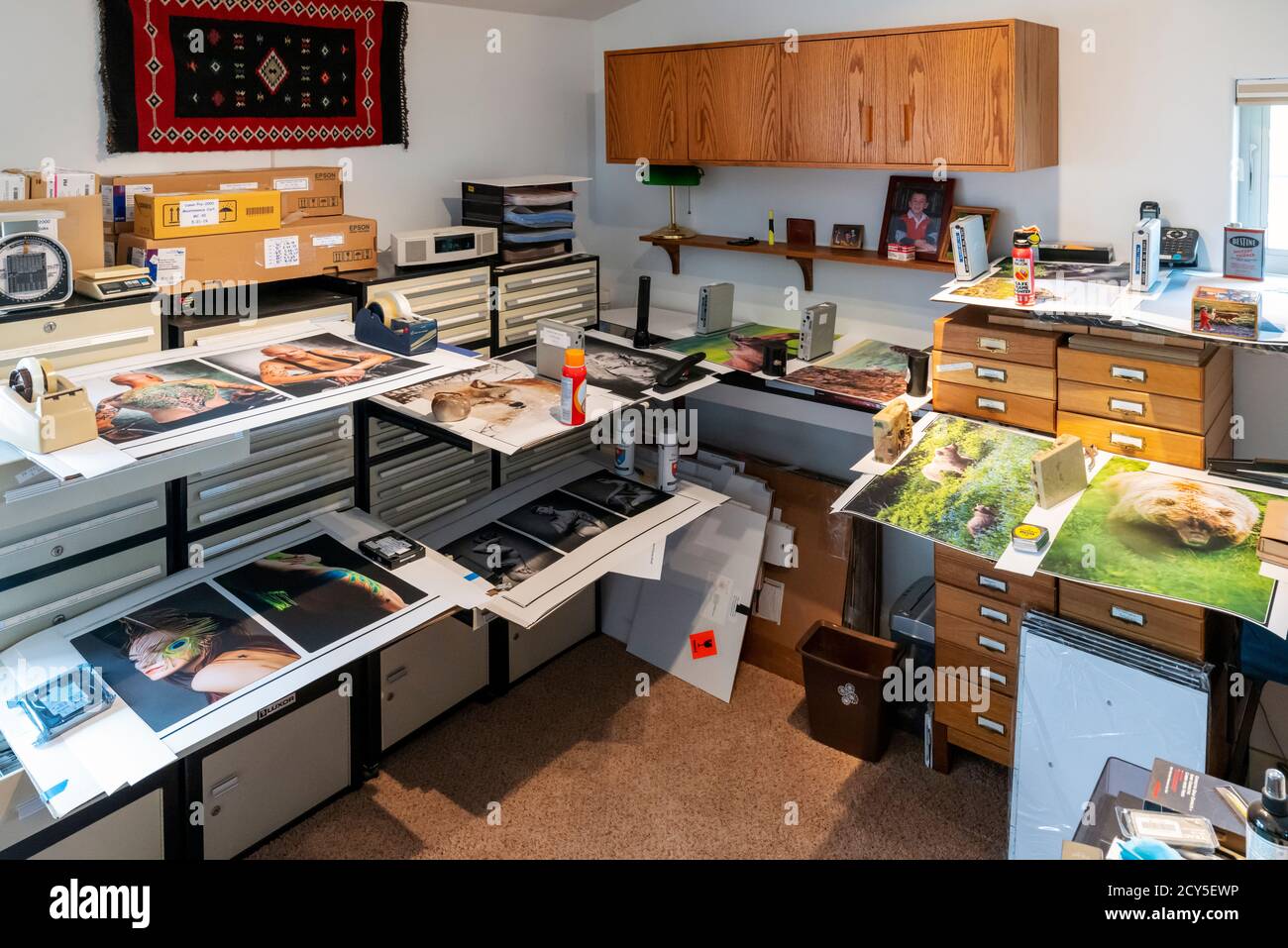 Großformatige Gicleé-Farbdrucke trocknen im Büro des Fotografen Stockfoto