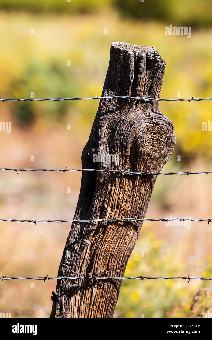 In der Nähe von Stacheldraht zaun & Holzzaun Post; Ranch in Colorado, USA Stockfoto