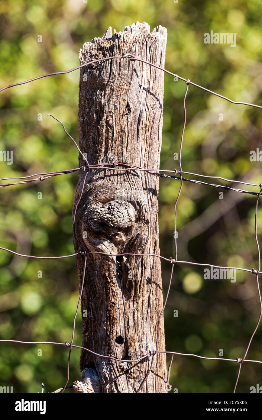 In der Nähe von Stacheldraht zaun & Holzzaun Post; Ranch in Colorado, USA Stockfoto