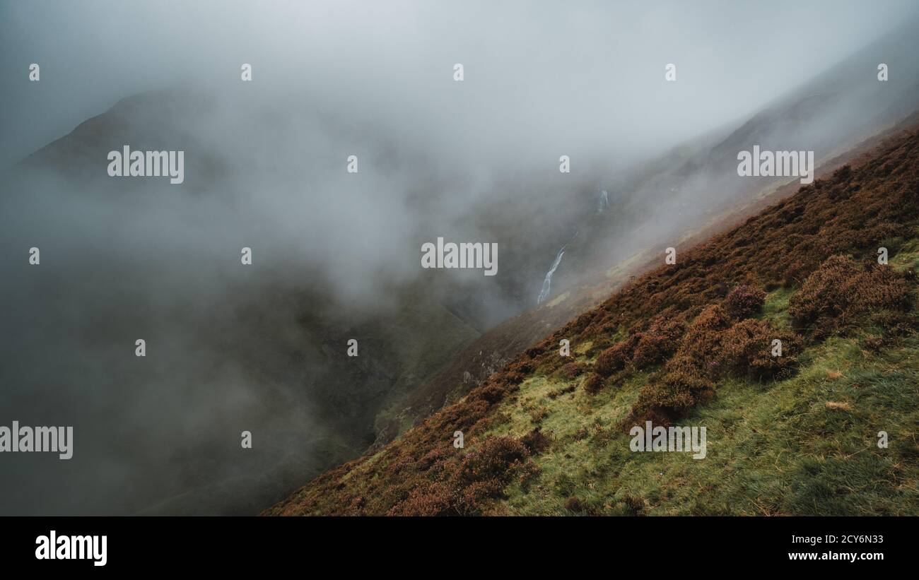 Graue Stute Schwanz schottland Stockfoto