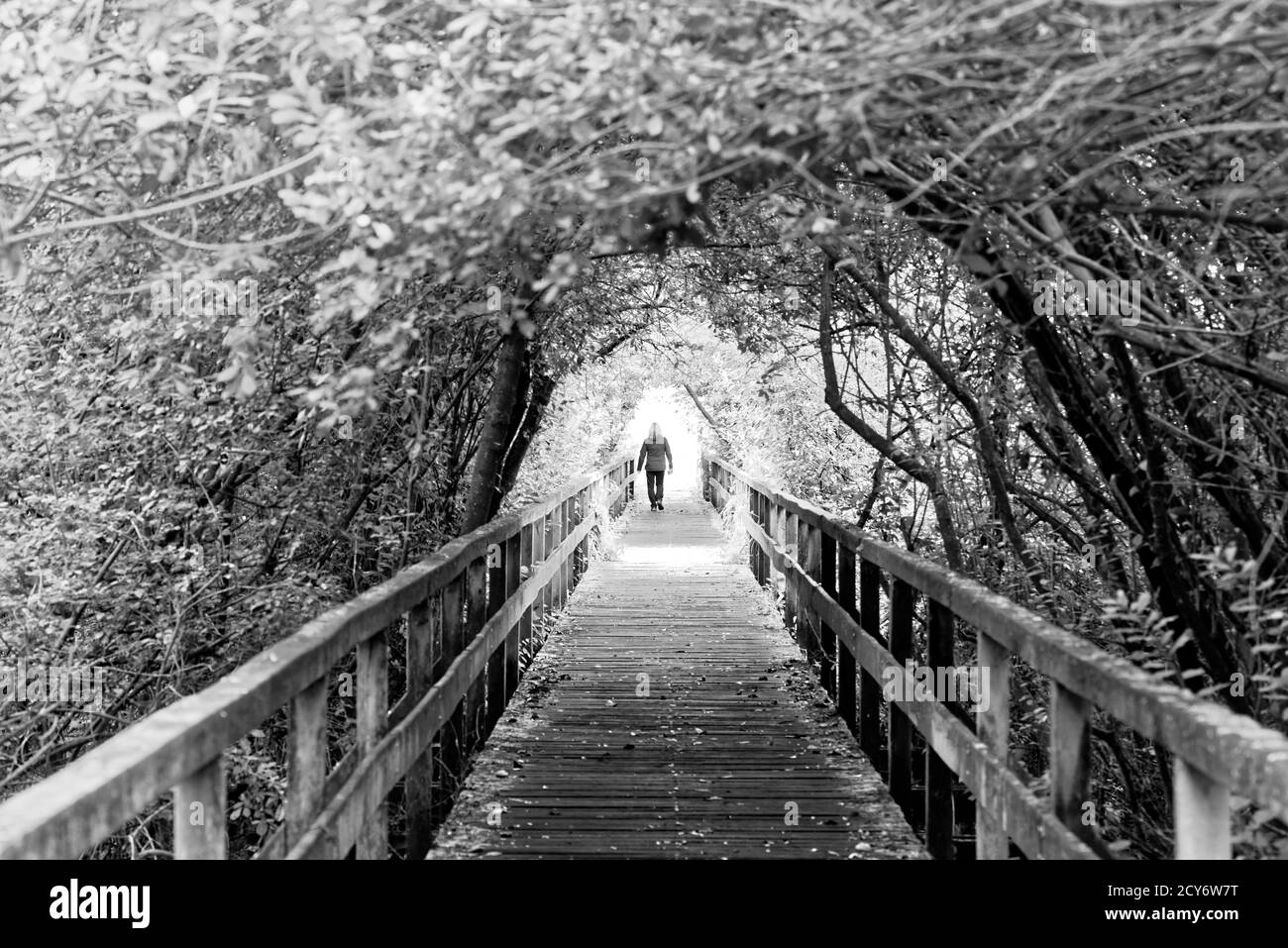 Brücke und Tunnel Stil, Steinhuder Meer, Niedersachsen, Deutschland Stockfoto