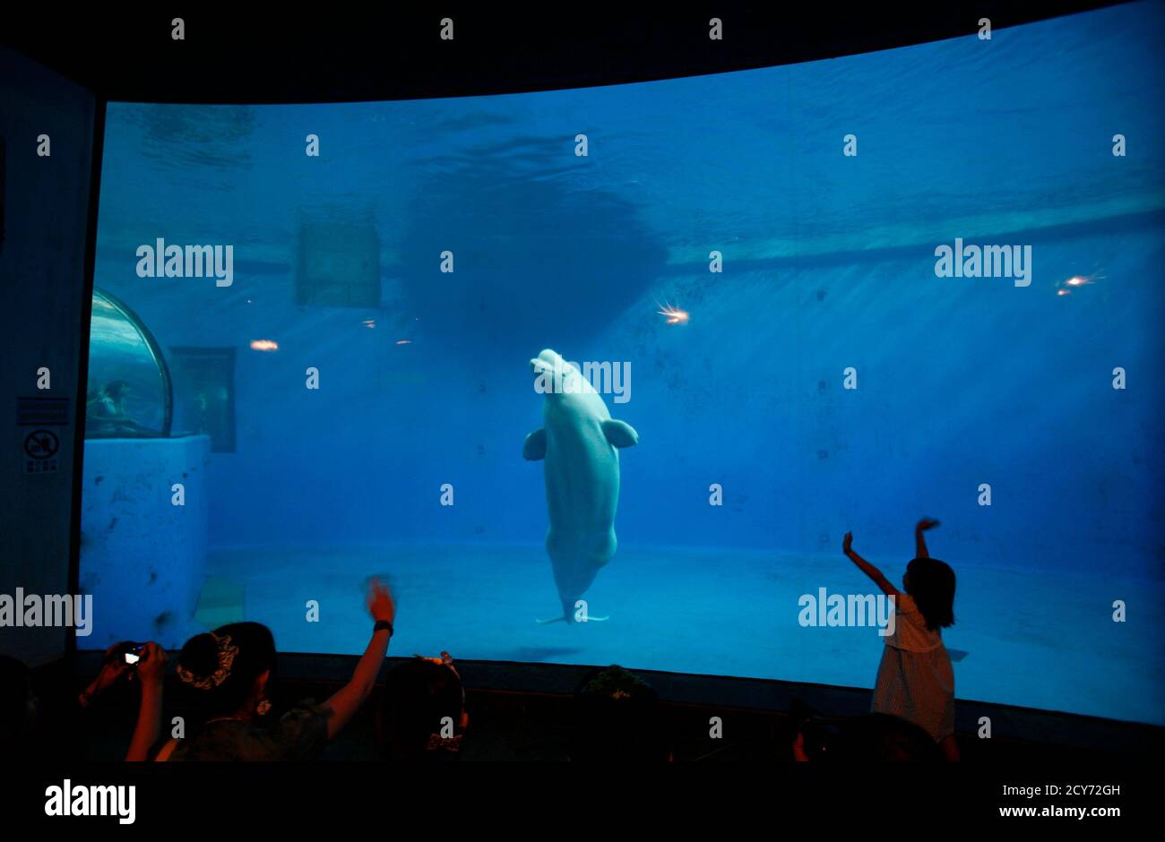 National Museum Of Marine Biology And Aquarium Stockfotos Und Bilder Kaufen Alamy