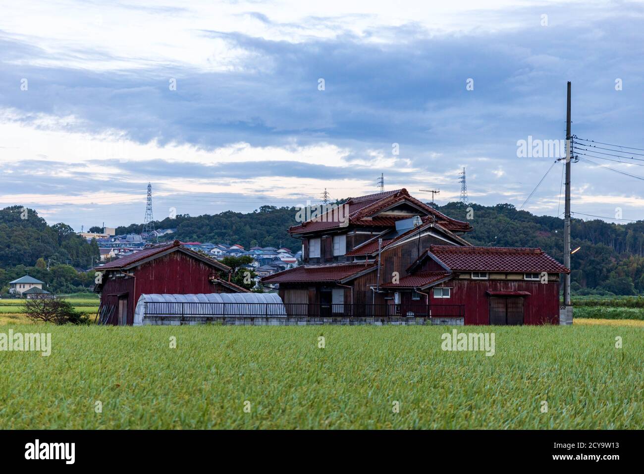 Rotes Bauernhaus aus Holz im Meer von grünem Reis Stockfoto