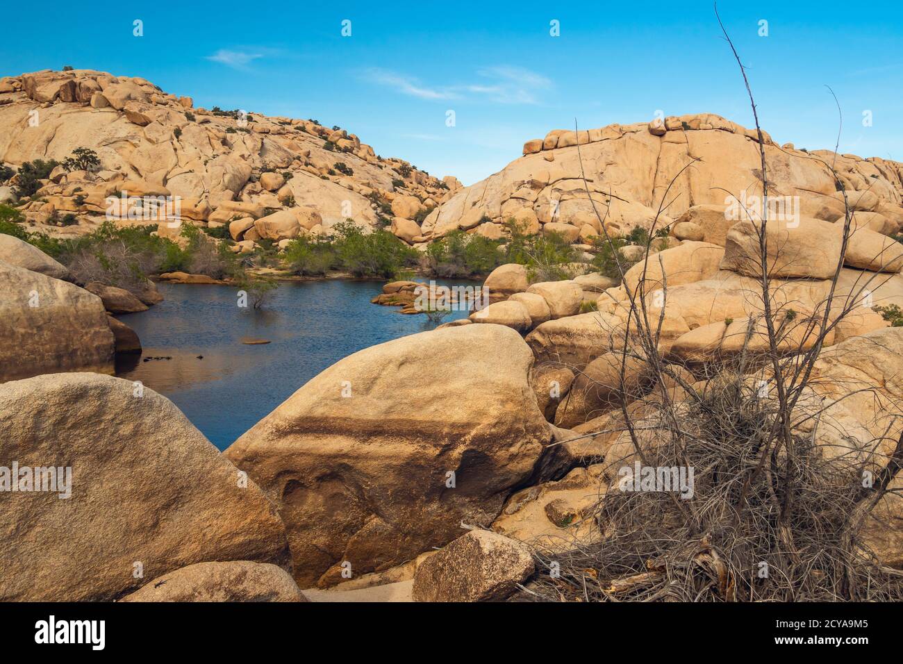 Wasser in der Wüste. Der Stausee über dem Barker Dam im Joshua Tree National Park, Kalifornien Stockfoto