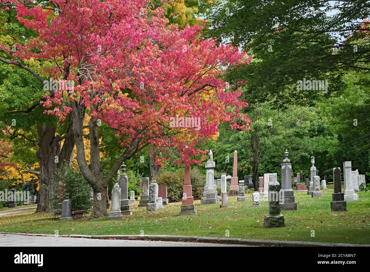 Toronto, Kanada - 1. Oktober 2020: Der Mount Pleasant Cemetery ist voller Bäume und sehr malerisch mit Herbstfarben. Stockfoto