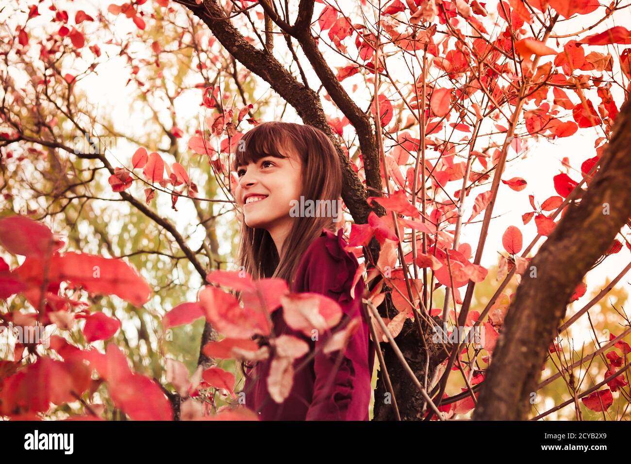 Herbst Natur Porträt von lächelnd teen Mädchen in der Nähe der Roter Laubbaum Stockfoto