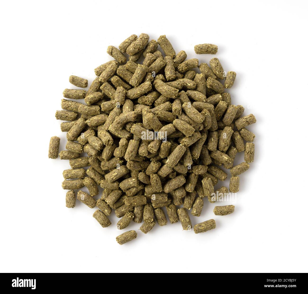 Kaninchen essen pellets -Fotos und -Bildmaterial in hoher Auflösung – Alamy