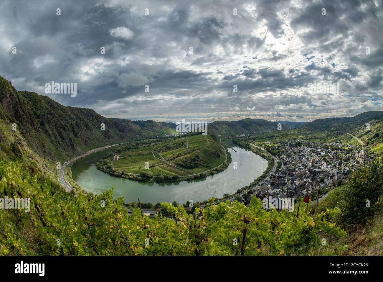 Bremm, Deutschland. September 2020. Oberhalb der Moselkurve am Bremmer Calmont stehen Weinreben. Mit einer Steigung von bis zu 65 Grad gehören die steilen Hänge des Bremmer Calmont an der Mosel zu den steilsten Weinbergen Europas. (To dpa 'Knochenarbeit mit Herz im steilen Weinberg' von 02.10.2020) Quelle: Boris Roessler/dpa/Alamy Live News Stockfoto