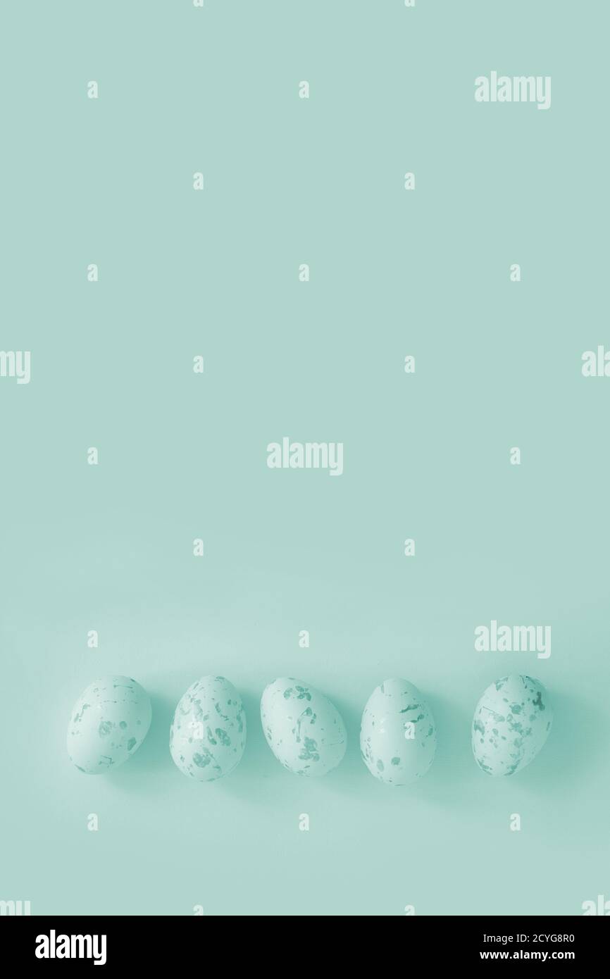 Ostereier liegen in der Reihe auf dem schlichten Hintergrund Minze-Neonatal Stockfoto