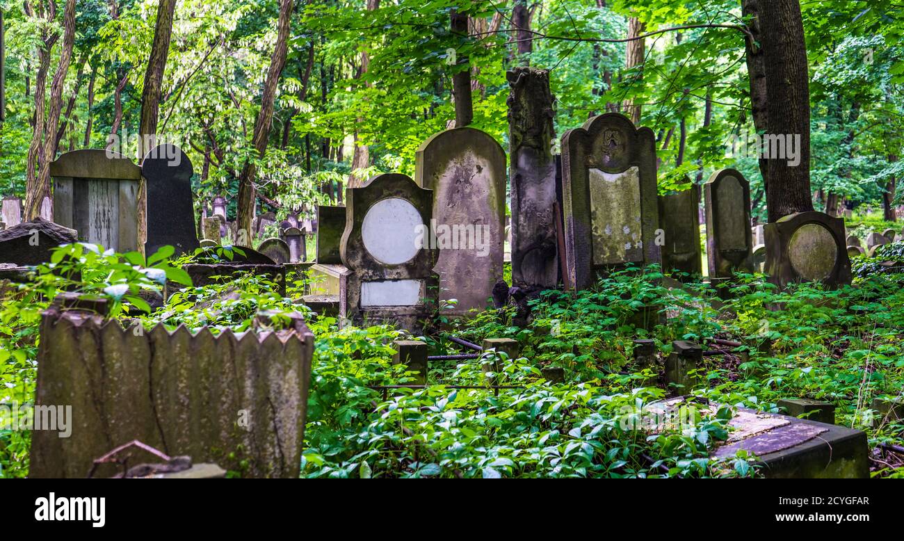 Der jüdische Friedhof in Warschau, Polen Stockfoto