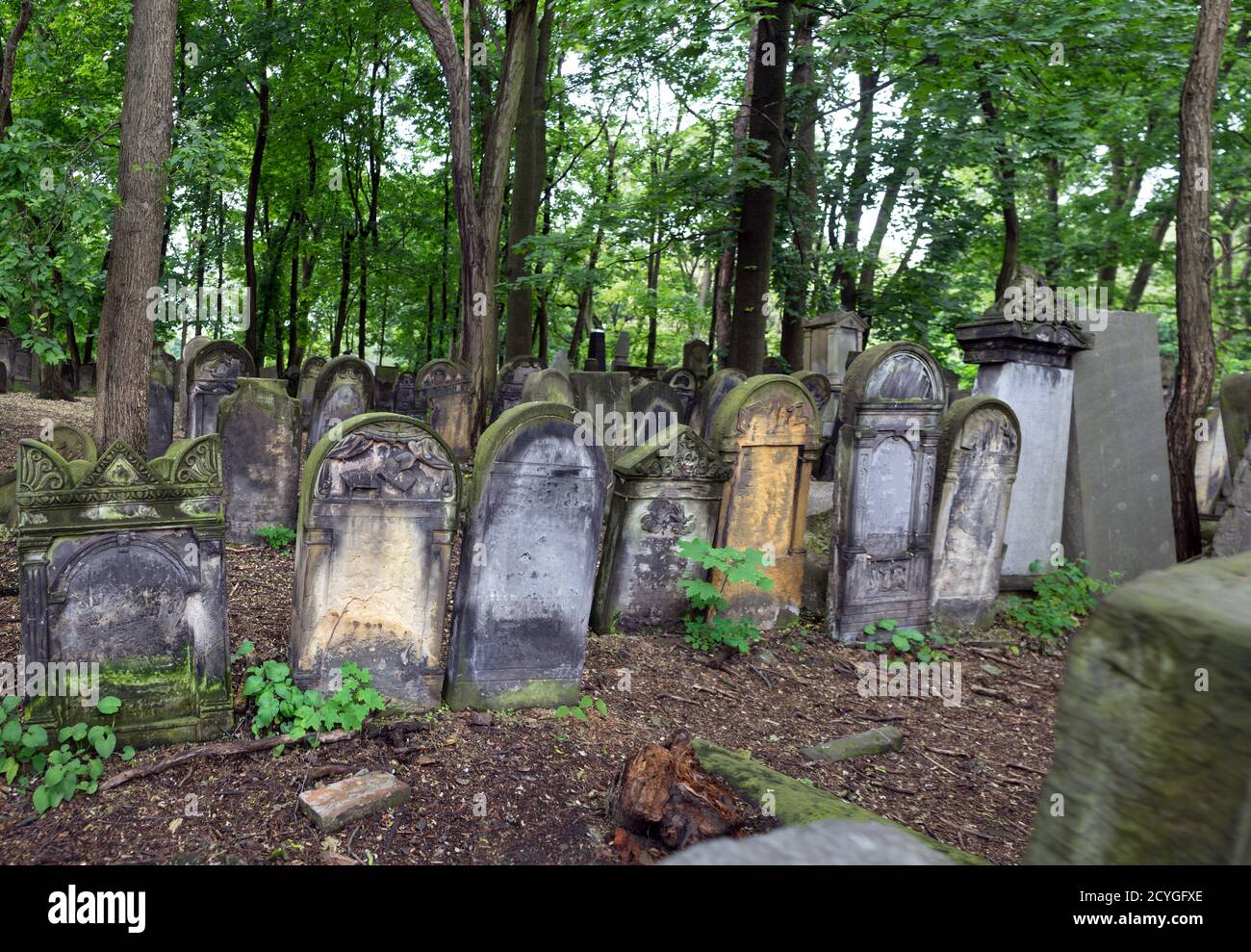 Der jüdische Friedhof in Warschau, Polen Stockfoto