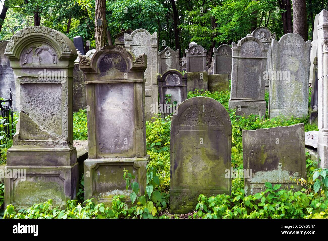 Der jüdische Friedhof in Warschau, Polen Stockfoto