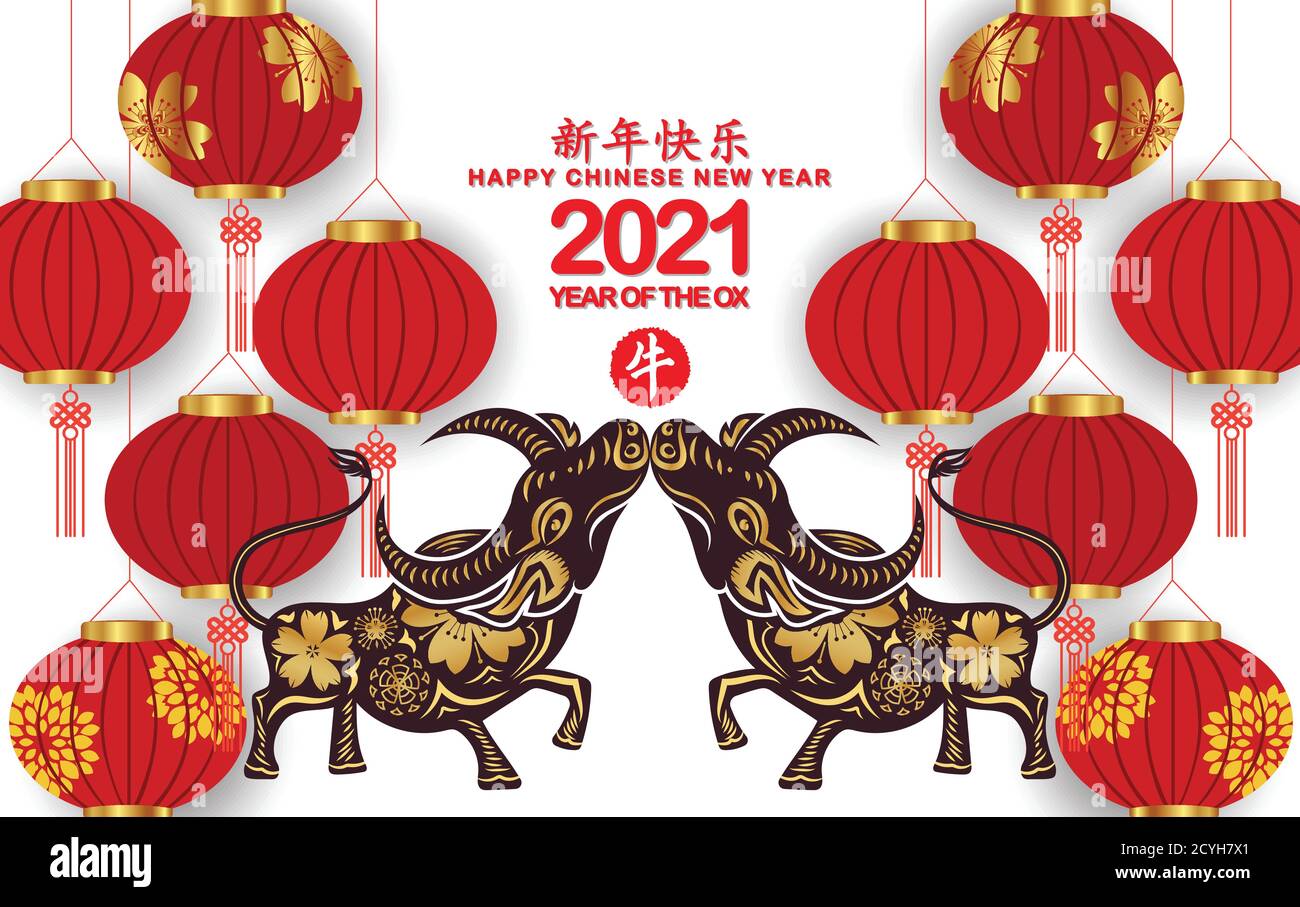 Happy Chinese New Year 2021 Hintergrund mit Laternen isoliert auf weißem Hintergrund (Chinesische Übersetzung Happy chinese New Year 2021, Jahr des Ochsen) Stock Vektor