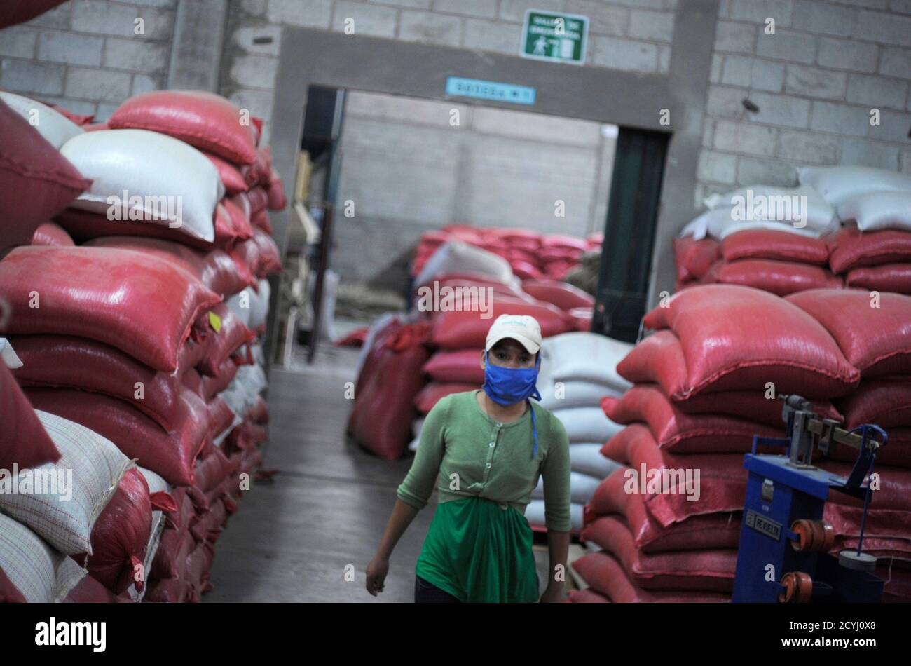 Verarbeitungsraum Für Kaffeebohnen Stockfotos und -bilder Kaufen - Alamy