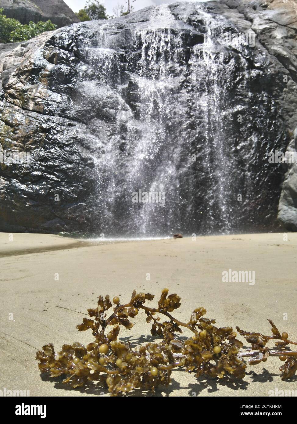 Algen am Strand neben EINEM großen Felsen mit EINEM Kleiner Wasserfall Stockfoto