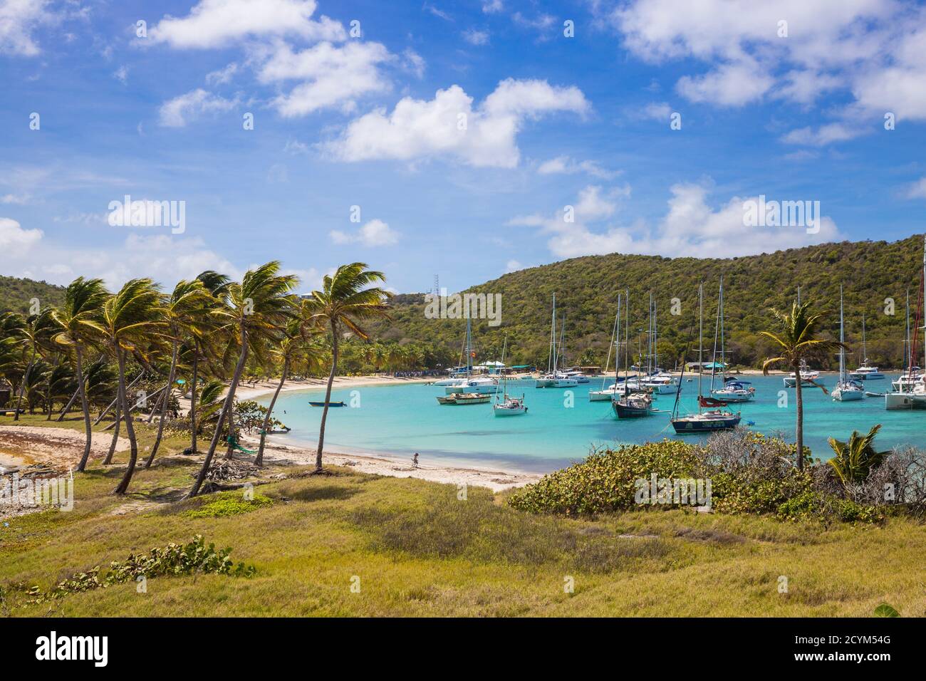 St. Vincent und die Grenadinen, Mayreau, Saltwhistle Bay Stockfoto