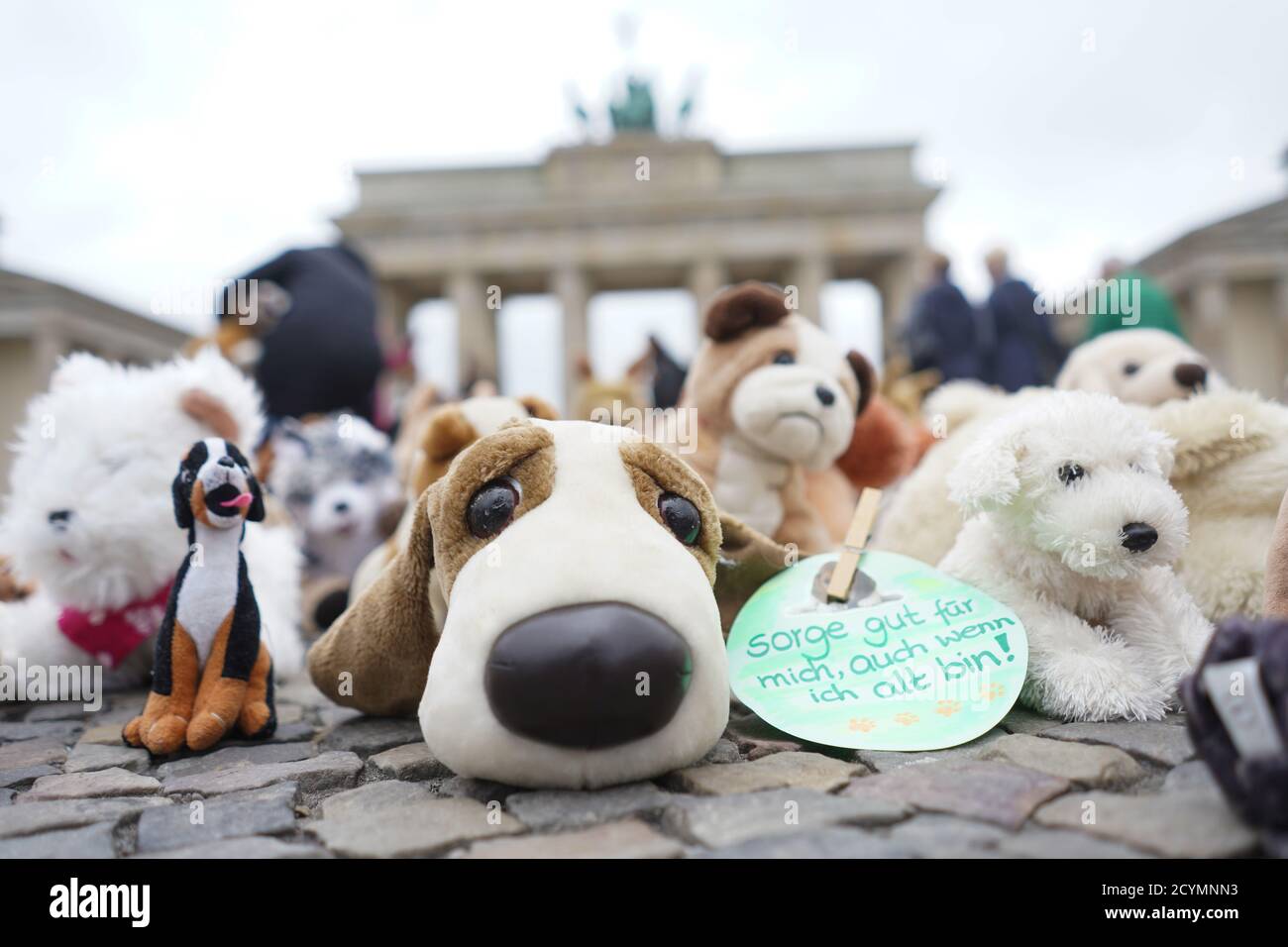 Berlin, Deutschland. Oktober 2020. Nicht weit vom Brandenburger Tor liegen  Kuscheltiere auf dem Boden, während ein kleines Schild auf einem Kuscheltier  die Aufschrift trägt: "Kümmere dich gut um mich, auch wenn ich