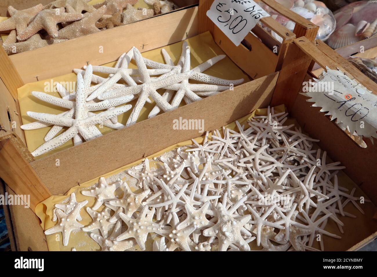 Getrocknete Seestern zum Verkauf im traditionellen Geschäft auf der Insel Von Favignana in Sizilien Stockfoto