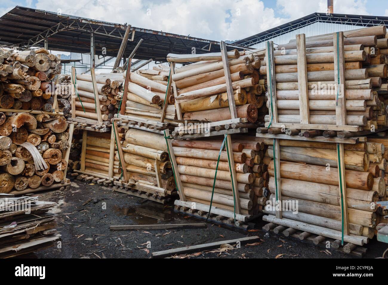 Schnittholz mit unbrauchbarem Kern für Furnierschälung in einer Spielholzfabrik in Sandakan, Sabah, Malaysia. Stattdessen werden die Protokolle verkauft oder verbrannt. Stockfoto