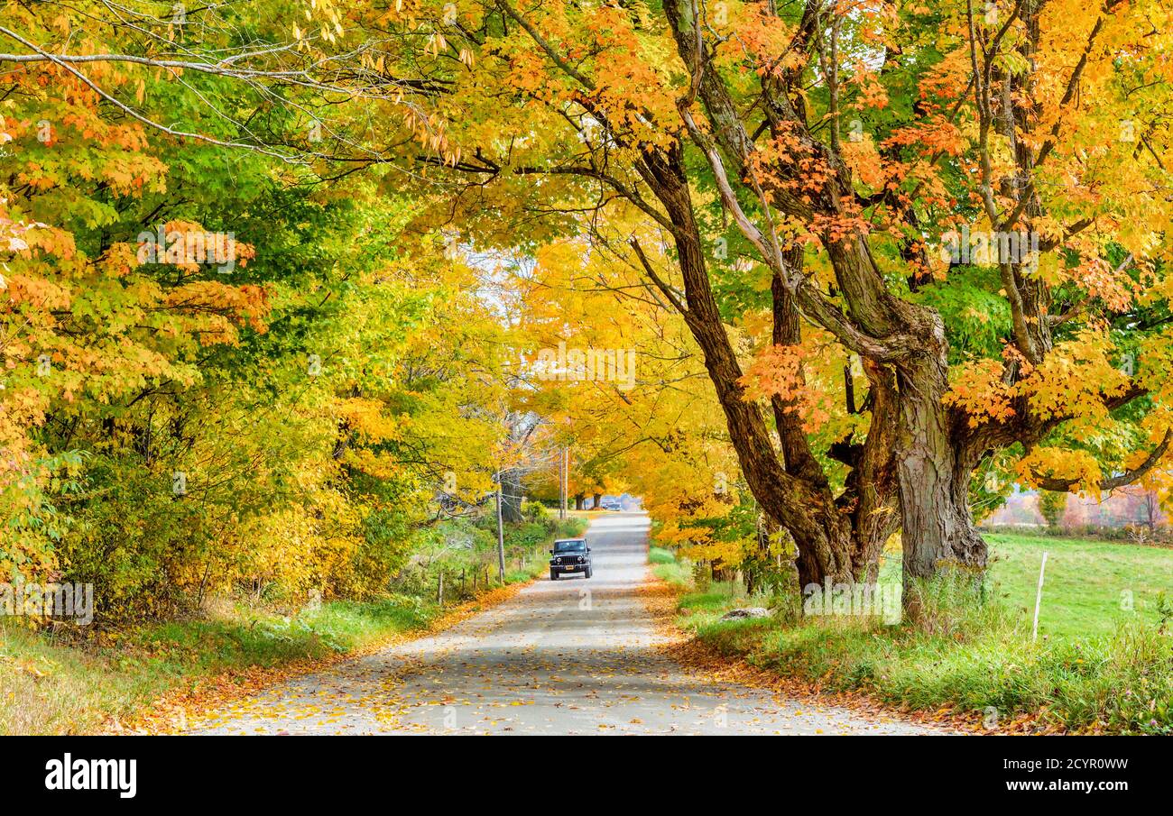 Woodstock, Vermont - 8. Oktober 2018 - ein Auto kommt die Straße hinunter durch bunte Bäume im Herbst Stockfoto