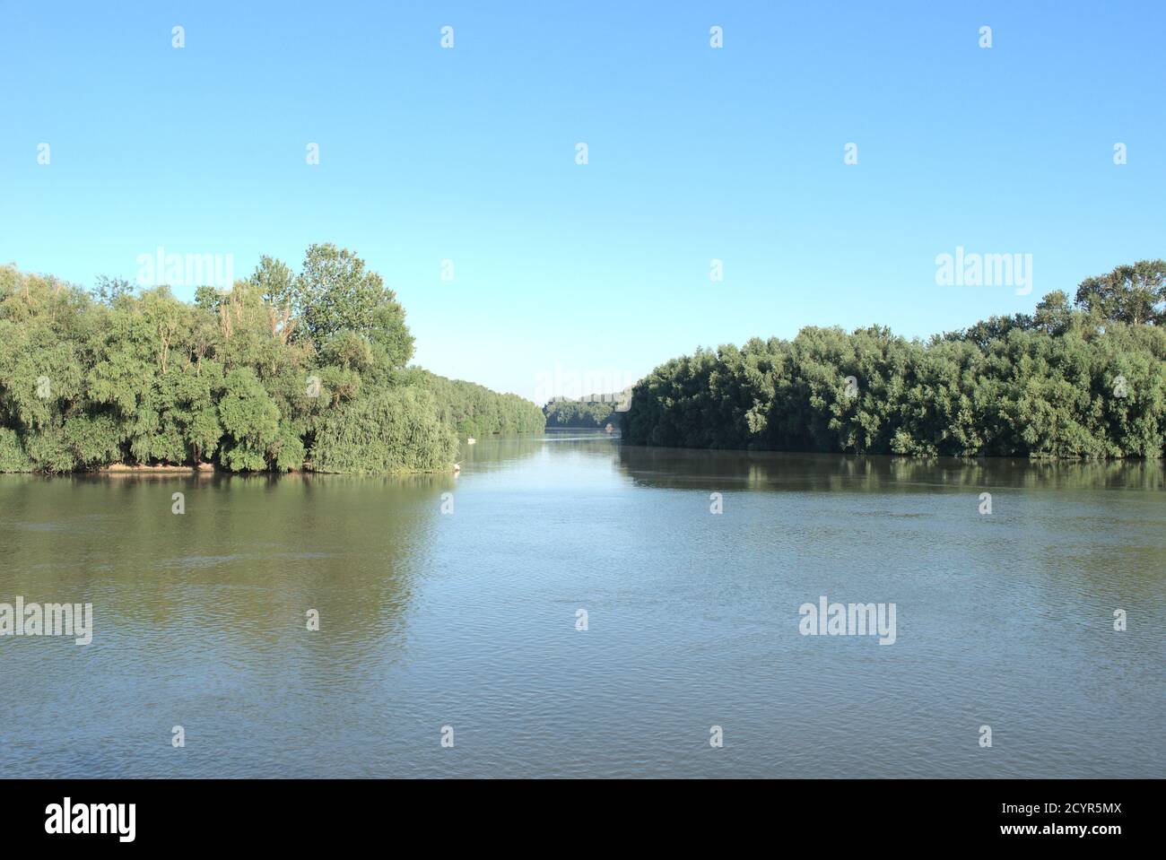 Donau, Chilia Branch, Rumänien, Sommer 2020 Stockfoto