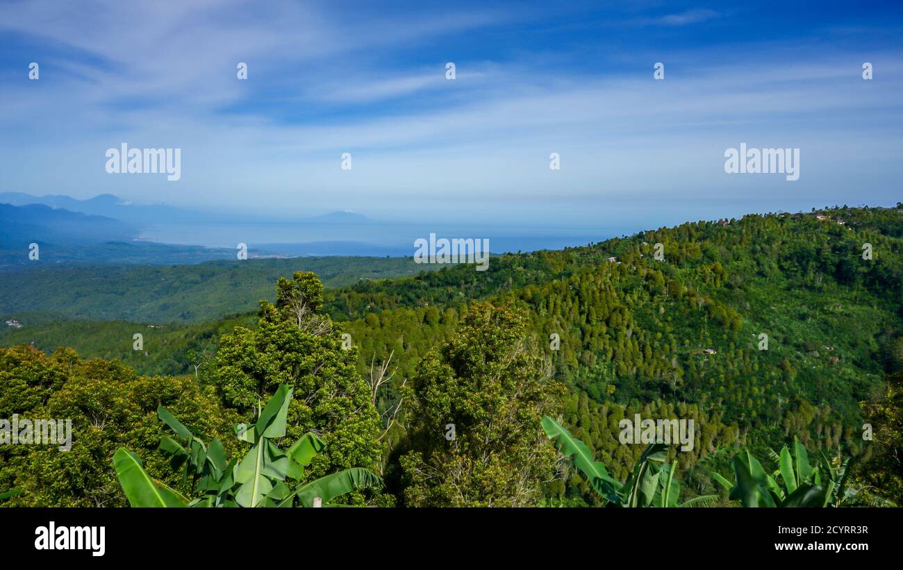 Wunderschöne tropische Naturkulisse in Bali, Indonesien Stockfoto