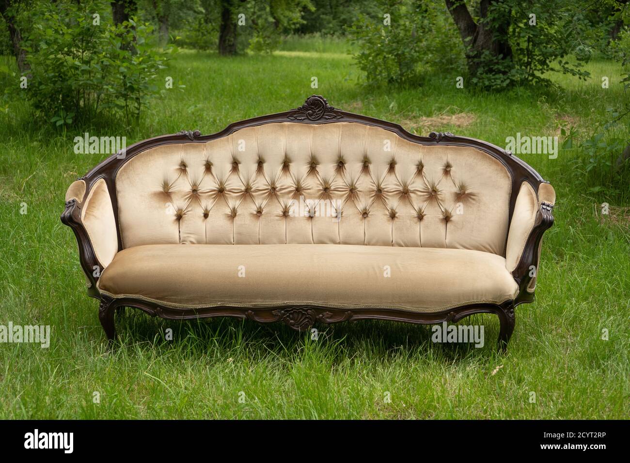 Helles Sofa im Vintage-Stil steht auf grünem Gras im Garten mit Pflanzen und Bäumen im Hintergrund. Naturkonzept. Möbelkonzept. Hochwertige Fotos Stockfoto