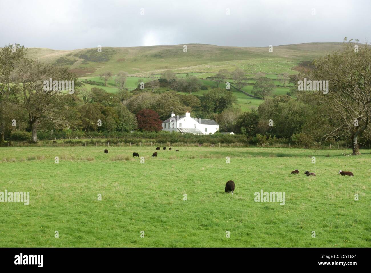 How Hall Farm Ennerdale Water Lake District Cumbria England Großbritannien Stockfoto