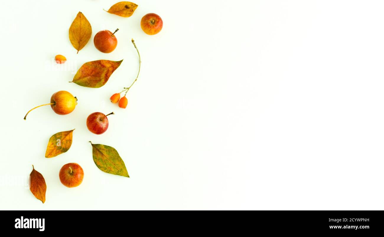 Herbstkomposition aus gelben und roten Blättern, Früchten und Beeren auf weißem Hintergrund. Herbstkonzept. Flach liegend, Kopierplatz Stockfoto